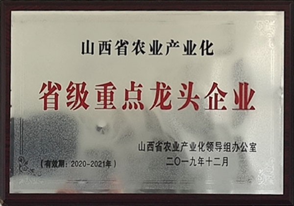 省级重点龙头企业